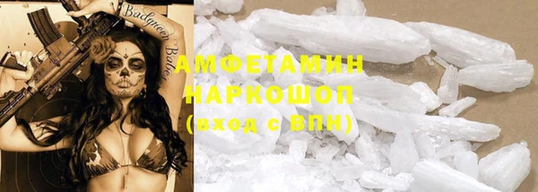 прущий лед Вяземский