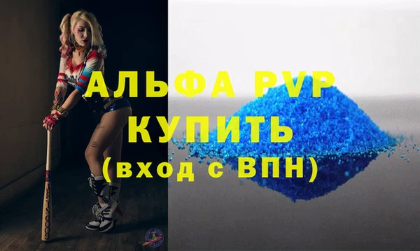 прущий лед Вяземский