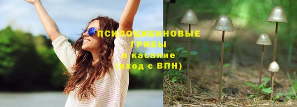 прущий лед Вяземский