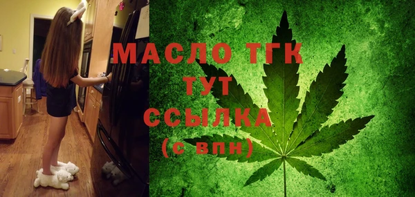 прущий лед Вяземский