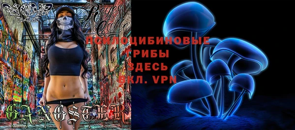 прущий лед Вяземский