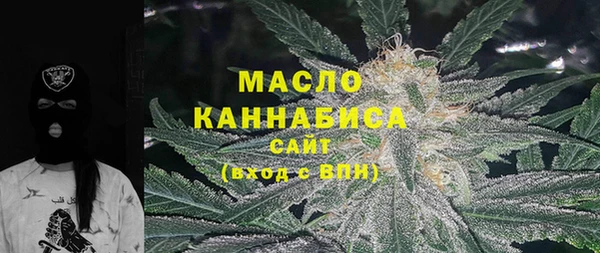 прущий лед Вяземский