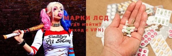 прущий лед Вяземский