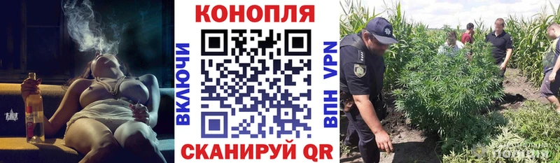 Купить  Трубчевск  Бошки Шишки тримм 